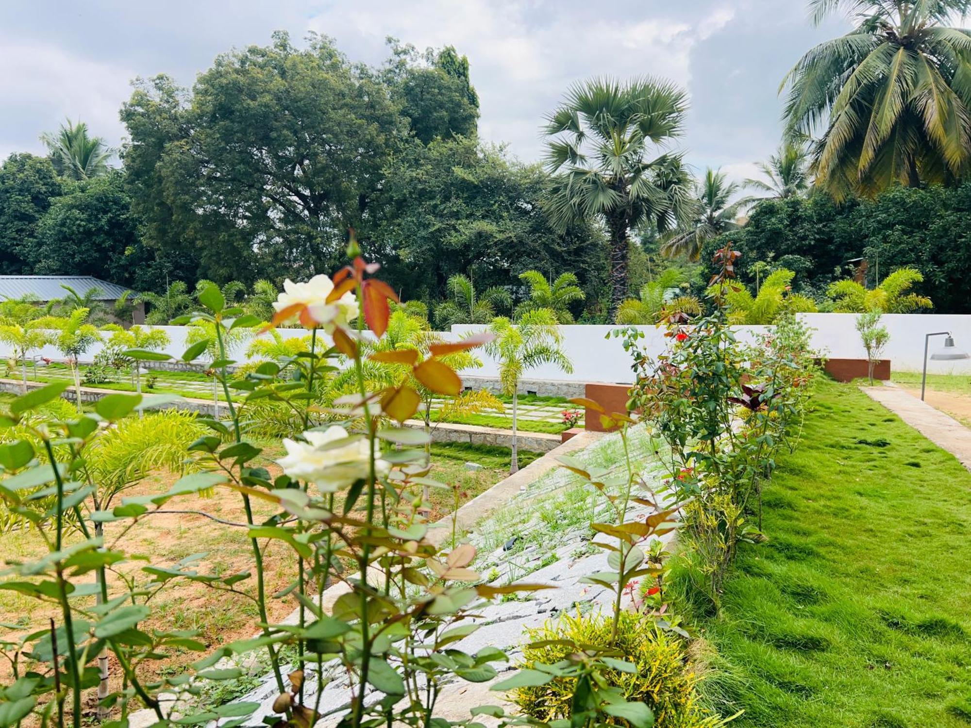 Hampi Village Resort & Tutti Cafe 外观 照片